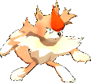 FightingDog