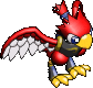 Harpy